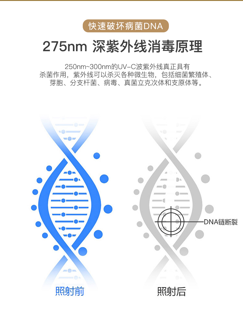 UV210消毒灯_07.jpg