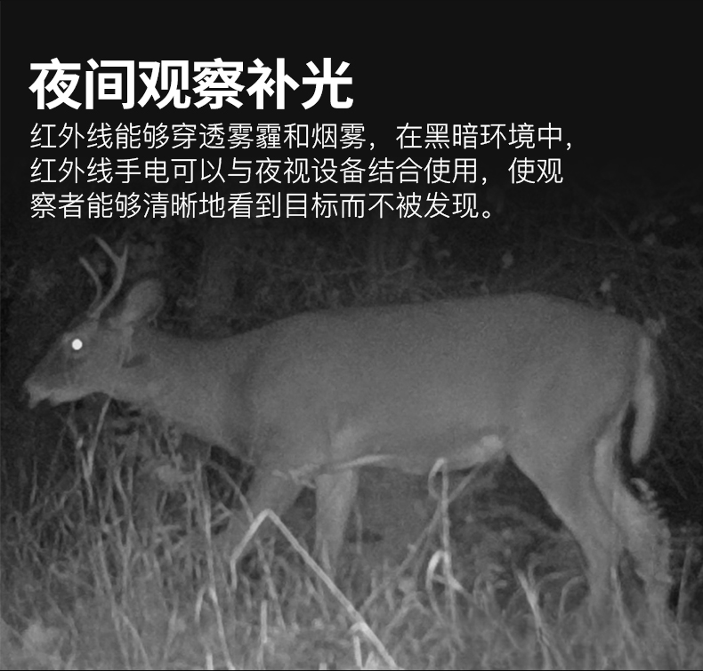 手电筒厂家