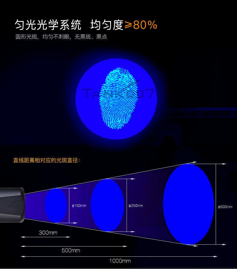 手电筒厂家