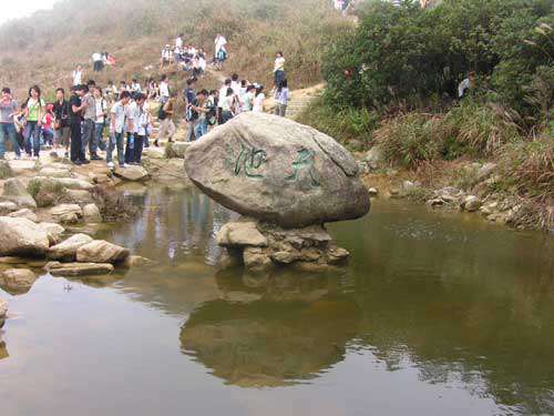 纵情山水，激荡智慧——TANK007重阳节带您一起登高梧桐山